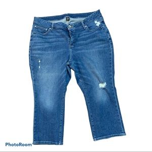 a.n.a. Brand Womens Plus Size 20W Jeans Distressed
